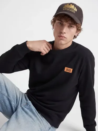 Resim Jack & Jones Jjrush Sweat Crew Neck Erkek Sweat 12298426