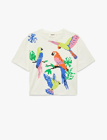 Resim Koton Kız Çocuk T-shirt 6SKG10147AK