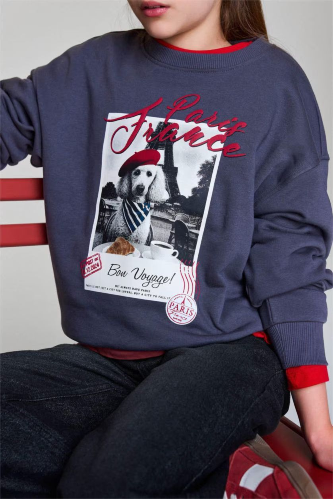 Resim Defacto Kız Çocuk Sweat E6759A8/AR58