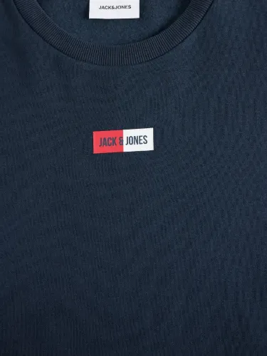 Resim Jack & Jones Jjpan Sweat Crew Neck Smu Erkek Sweat 12310759