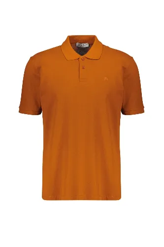 Resim Süvari Polo Yaka Pike Regular T-shirt TS1014000473