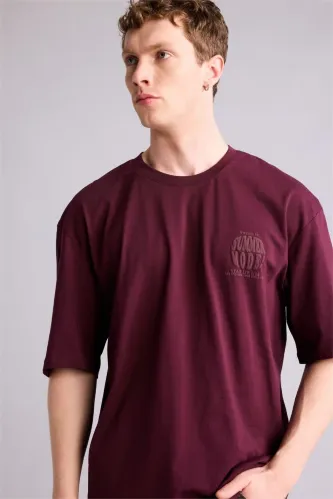 Resim Defacto Erkek T-shirt G4836AX/BR171