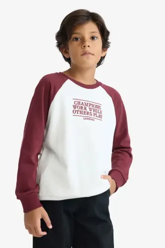 Resim Defacto Erkek Çocuk Sweat F2707A8/ER136