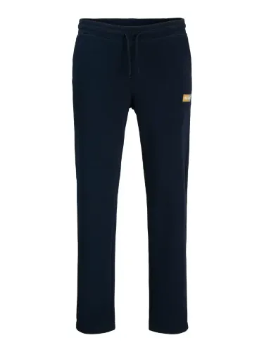 Resim Jack & Jones Jpstgordon Pan Sweat Pant Erkek Eşofman Alt 12310633