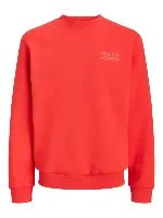 Resim Jack & Jones Jorlogo Sweat Crew Neck Tr Ss25 Erkek Sweat 12290659