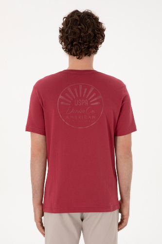 Resim 2107313 Lenhar Us Polo Assn Erkek T-Shirt