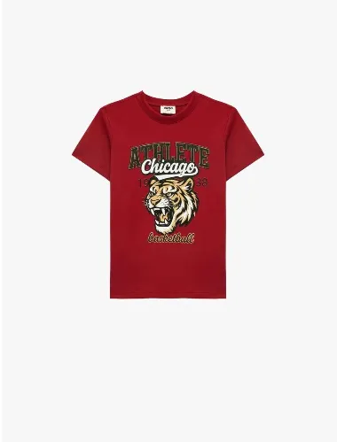 Resim Koton Erkek Çocuk T-Shirt 6Skb10545Tk