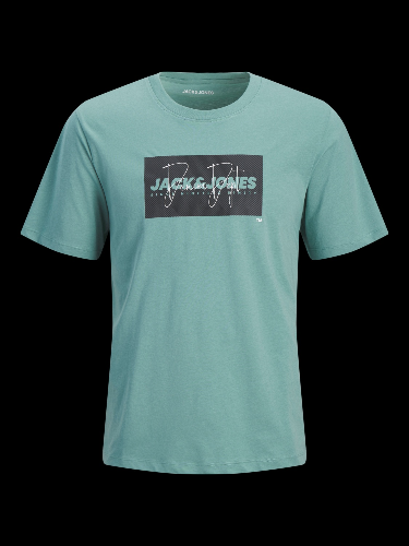 Resim Jack & Jones Jjcole Prınt Tee Ss Crew Neck Ln Erkek T-Shirt 12288492