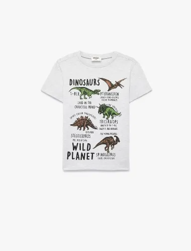 Resim Koton Erkek Çocuk T-shirt 6SKB10181TK