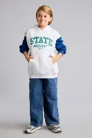 Resim Defacto  Erkek Çocuk Sweat I3178A8/GR400