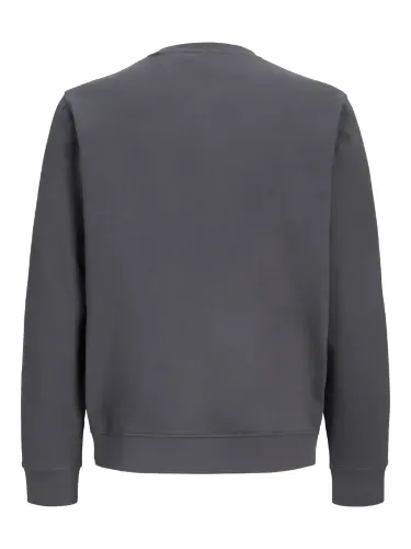 Resim Jack & Jones Jjearchıve Graphıc Sweat Crew Neck Noos Erkek Sweat 12287995