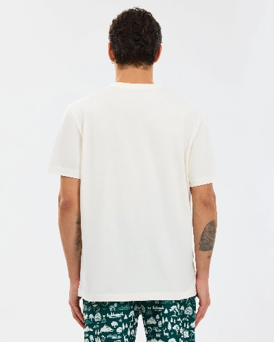 Resim Skechers  M Regular Erkek T-shirt S2610115-3855