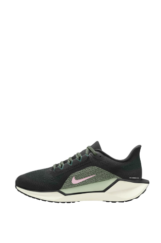 Resim Nike W Air Zoom Pegasus 41 Kadın Spor Ayakkabı Fd2723-009