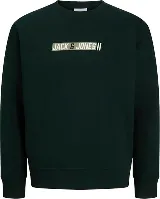 Resim Jack & Jones Jjmunk Sweat Crew Neck Sn Erkek Sweat 12298431