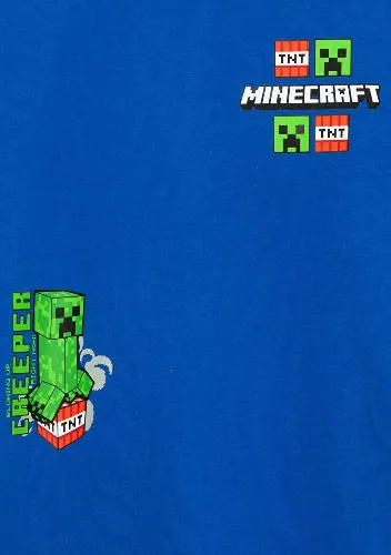 Resim Mavi Erkek Çocuk T-shirt M6610495-70896