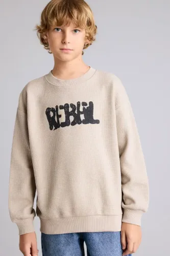 Resim Defacto  Erkek Çocuk Sweat I3168A8/BG191