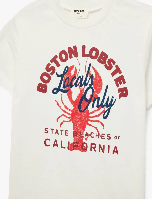 Resim Koton Erkek Çocuk T-shirt 6SKB10128TK