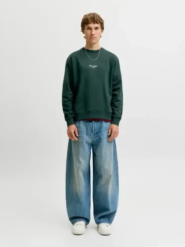 Resim Jack & Jones Jjesoho Sweat Crew Neck Noos Erkek Sweat 12278791