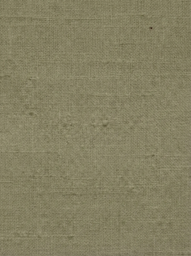 Resim Loft  Erkek Gömlek Lf2042323