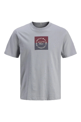 Resim Jack & Jones Jorcatskılls Square Brandıng Tee Ss Cn Erkek T-Shirt 12290856