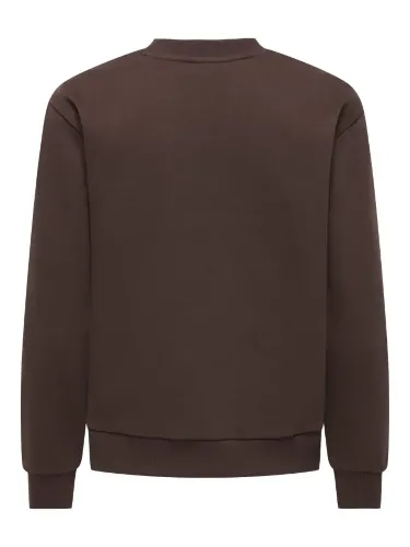 Resim Only Jdyparıs L/S Emb Sweat Jrs Noos Kadın Sweat 15221015