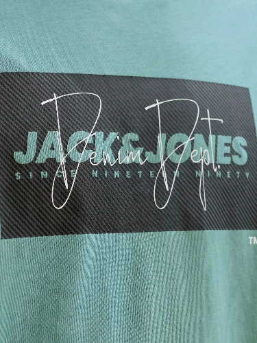 Resim Jack & Jones Jjcole Prınt Tee Ss Crew Neck Ln Erkek T-Shirt 12288492