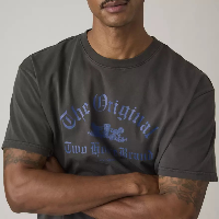 Resim Levis Erkek T-shirt