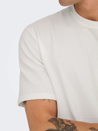 Resim 22028692 Only Sons Onskıan Lıfe Reg Seersucker Ss Tee Noos Erkek T-shirt