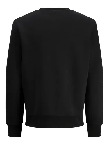 Resim Jack & Jones Jjpan Sweat Crew Neck Smu Erkek Sweat 12310759