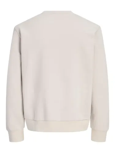 Resim Jack & Jones Jcoclub Brandıng Sweat Crew Neck Erkek Sweat 12300460