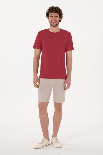 Resim 2107313 Lenhar Us Polo Assn Erkek T-Shirt