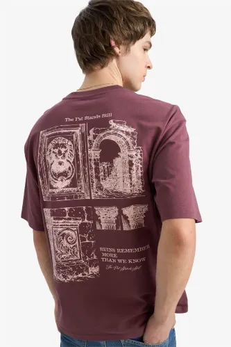 Resim Defacto Erkek T-shirt G5573AX/BR494
