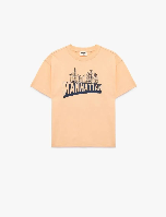 Resim Koton Erkek Çocuk T-shirt 6SKB10163TK