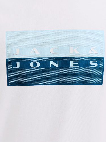 Resim Jack & Jones Jcofusıon Dots Prınt Tee Ss Crew Sn Erkek T-Shirt 12289863