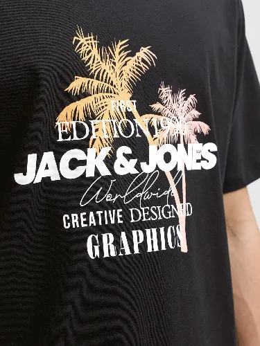 Resim Jack & Jones Jjgradıent Prınt Tee Ss Crew Neck Ln Erkek T-shırt 12288094