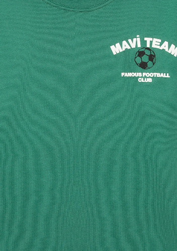 Resim Mavi Erkek Çocuk T-shirt M6610414-71697