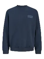Resim Jack & Jones Jorlogo Sweat Crew Neck Tr Ss25 Erkek Sweat 12290659
