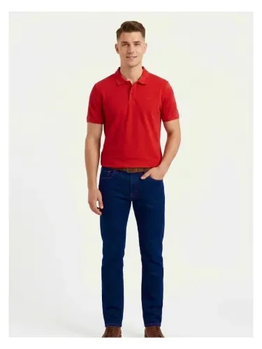 Resim Levis Erkek T-shirt