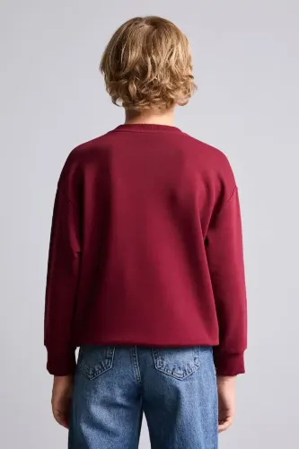 Resim Defacto  Erkek Çocuk Sweat H9695A8/BR248