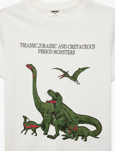 Resim Koton Erkek Çocuk T-shirt 6SKB10172TK