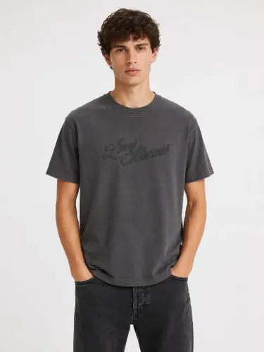 Resim Levis Erkek T-shirt