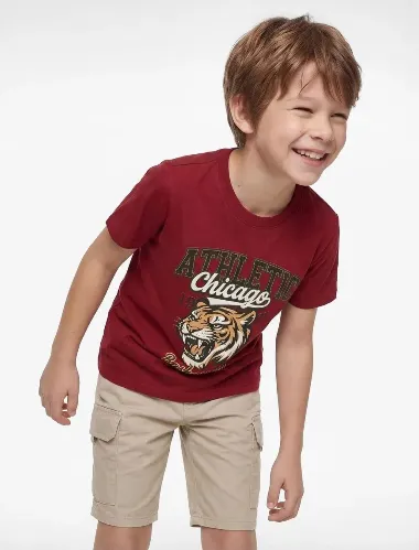 Resim Koton Erkek Çocuk T-Shirt 6Skb10545Tk
