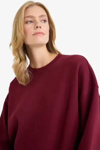 Resim Defacto  Kadın Sweat F9628AX/BR115