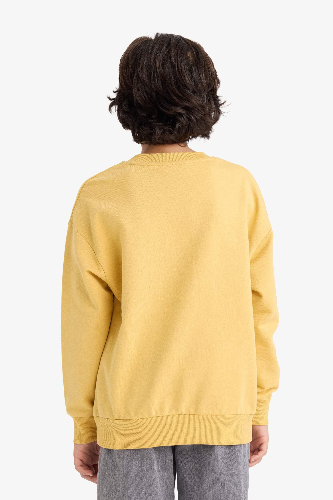 Resim Defacto Erkek Çocuk Sweat G6170A8/YL502