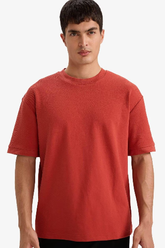 Resim Defacto Erkek T-shirt F9856AX/BR91