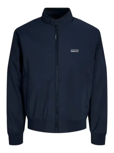 Resim Jack & Jones Jjebrooklyn Bomber Sn Erkek Ceket 12298825