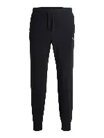 Resim Jack & Jones Jpstgordon Archıve Sweat Pants Noos Erkek Eşofman Alt 12288641