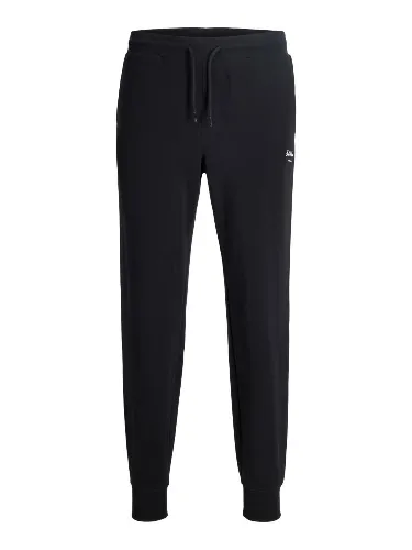 Resim Jack & Jones Jpstgordon Archıve Sweat Pants Noos Erkek Eşofman Alt 12288641