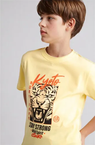 Resim Defacto Erkek Çocuk T-shirt H4513A8/YL92