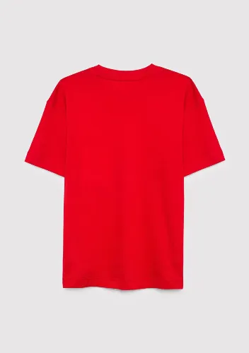 Resim Mavi Erkek Çocuk T-shirt M6610493-80638